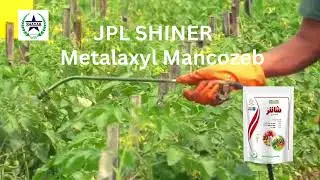 JPL Shiner (metalaxyl mancozeb) a fungicide