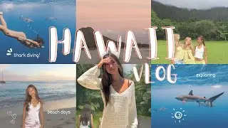 HAWAII VLOG *shark diving, beach days, getting ready, etc*