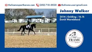 Johnny Walker ** VA Horse Center Training Dressage