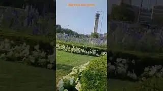 Airport Garden View #youtubeshorts #reels #viral #GMR