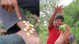 Survival Skills SMART Ideas and USEFUL in Forest With Single Mom Jungle Life ##camping #survival#fyp