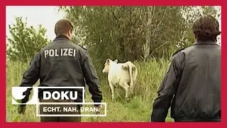 Auf Streife - Die Neuen bei der Polizei (Teil 2) | Experience - Die Reportage | kabel eins Doku