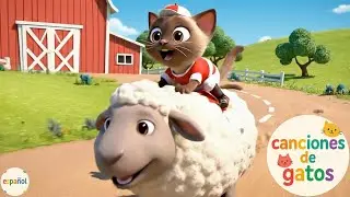 La Oveja y la Gatita en las Carreras | La canción infantil que todos los niños están cantando ahora