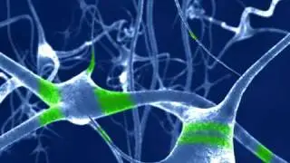 Neuronas