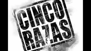 CINCO RAZAS - Y PUNTO .wmv