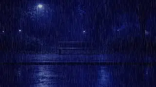A Calm Night Scene to Let Things Settle