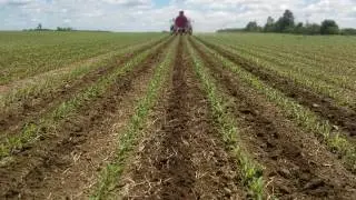 Best Management Practices in the Marketing and Management of a Biosolids Derived Biofertilizer