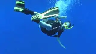 Remora Mistakes Scuba Diver for Shark