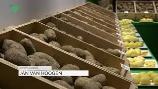 Rassenshow bij aardappelhandelshuizen