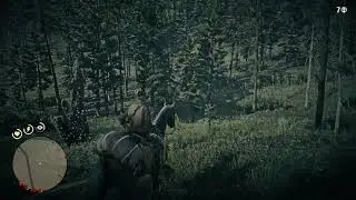 Red Dead How I  Get 3 Star Cougar Pelts *Easy*