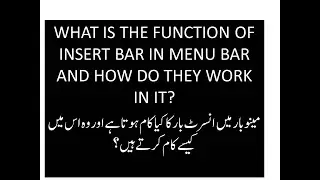 What is the function of Insert Bar Menu in MS Office !