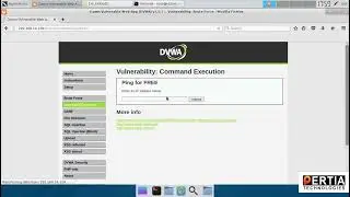 DVWA Pentesting| Command Execution Security level Low