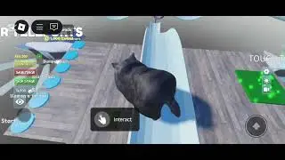 Название игры:Sled Obby, если не знаете английский напишите обби на санках