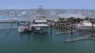 Island Life