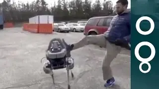Spot The Robot Dog Can Run, Go Up Stairs And Even Endure Kicks!