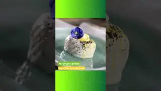 2025 EPCOT International Food and Wine Festival-World Nature🍷🍰
