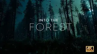 Forest Ambient Music | Deep Relaxation Forest Scenes 4K UHD | Loop Vortex