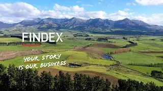 Your Story is Our Business | Fortuna Group