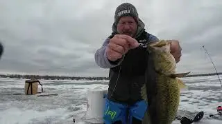 First Ice: Новые приманки Rapala и VMC Ice Lures + бур StrikeMaster Maven Auger