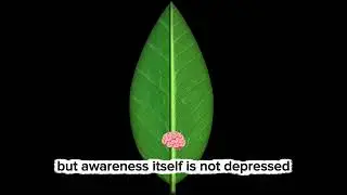  Depression, Emptiness & the Search for Meaning #motivation #lifephylosophy #philosopher 