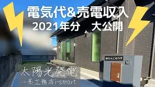 電気代&売電収入を1年分大公開！一条工務店の太陽光パネル！発電の結果は...！？【2021年1年分/4人暮らし/オール電化】