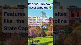 USA City Tour! 🏙️ USA Cities Unveiled! :  Raleigh, NC 🌳