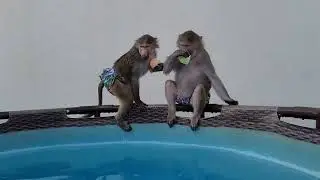 Погода сегодня супер , можно и покупаться 😁