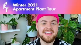 PlantTalk - Winter 2021 Apartment Plant Tour