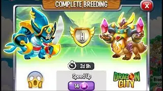 Dragon City: High Marauder Dragon vs High Relentless Dragon [EXCLUSIVE BREEDING] 😱