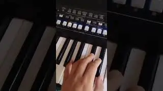 RITMO YASMIN SENSA&Ccedil;&Atilde;O (DEMONSTRA&Ccedil;&Atilde;O)