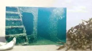 Diving Cozumel with Candice Betty