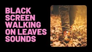 Black Screen | Walking on Leaves Sounds | Calm Footsteps for Sleep, Focus & Relaxation | 11 Hours