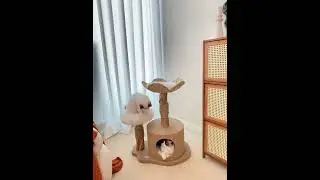 Cattail Solid Wood Cat Tree🐱✨