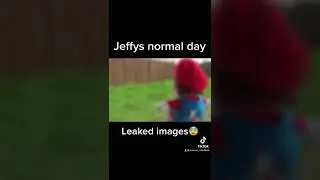 Jeffys normal day