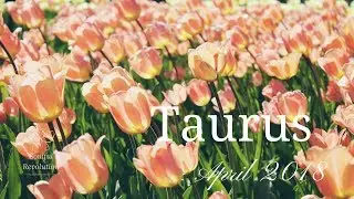 Clearing out all blocks to love, TAURUS. April Monthly General Reading