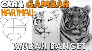 CARA MENGGAMBAR HARIMAU dengan GARIS BANTU SUPER MUDAH