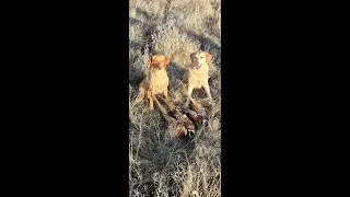 Best of Heppner Hunting 2025