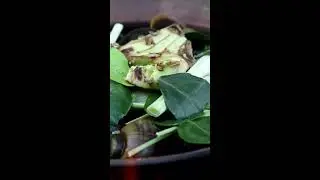 Tarp Shelter Tricks Taken from Karina&rsquo;s Guide #survival #Bushcraft