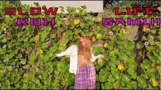 Slow Life Koh Samui island Yap vlog, rain and beaches/cooking/music;) เกาะสมุย ประเทศไทย
