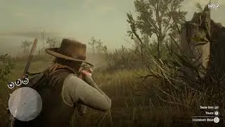 Red Dead Redemption 2 - Legendary Boar Hunt