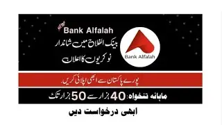 :Bank Alfalah Jobs for Fresh Graduates - Alfalah Bank Jobs 2023 Online November 2023