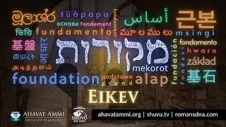 Mekorot - Fondasi parashat Eikev bersama Rabbi Dr. Itzhak&nbsp;Shapira