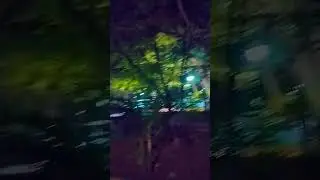 Anna tower park Chennai changes into a lover's zone @ magic touch