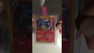Charizard | Plasma Storm | Tcg Pok&eacute;mon Museum | #shorts #pokemon #charizard #shiny