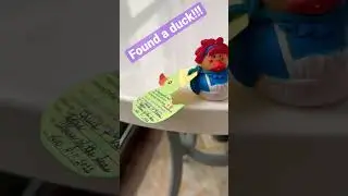 Found a duck!!!! Cruising Ducks!