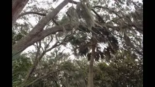 TIMUCUAN ECOLOGICAL AND HISTORIC PRESERVE VISITORS CENTER VIDEO BY ASAP PLUMBING  904-346-1266