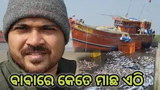 ଆସନ୍ତୁ ଦେଖିବା କେତେ variety ର ମାଛ🤔 ||  କେତେ ବଡ ବଡ ମାଛ ଏଠି 😋||ଖାଲି ତ ମାଛ ଆଉ😇