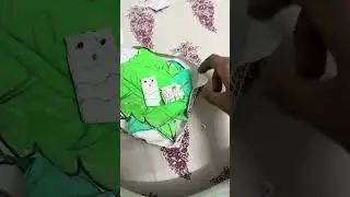 DIY silk worm petting kit