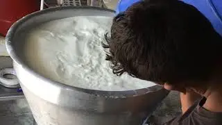 MILK CREAM SEPARATOR