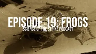 Episode 19: Frogs | Largemouth Prey Series